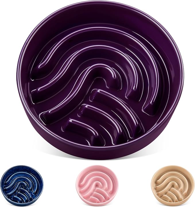 vancasso Slow Feeder Dog Bowl, 1.5 Cup Ceramic Slow Feeding Food Dish for Small and Medium Breed, Puzzle Dog Food Bowl for Fast Eater, Dark Purple by vancasso