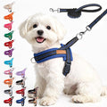BEAUTYZOO Small Dog Harness and Leash Set, No Pull Step in Puppy Vest | Breathable Mesh with Handle, Reflective, Adjustable No Choke Escape Proof, Lightweight, Easy Control for Walking, Dark Blue S by BEAUTYZOO