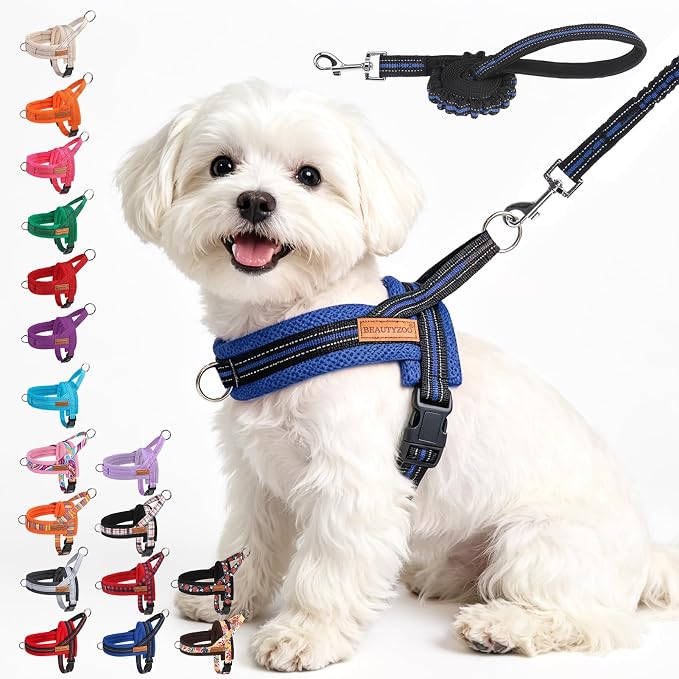BEAUTYZOO Small Dog Harness and Leash Set, No Pull Step in Puppy Vest | Breathable Mesh with Handle, Reflective, Adjustable No Choke Escape Proof, Lightweight, Easy Control for Walking, Dark Blue S by BEAUTYZOO