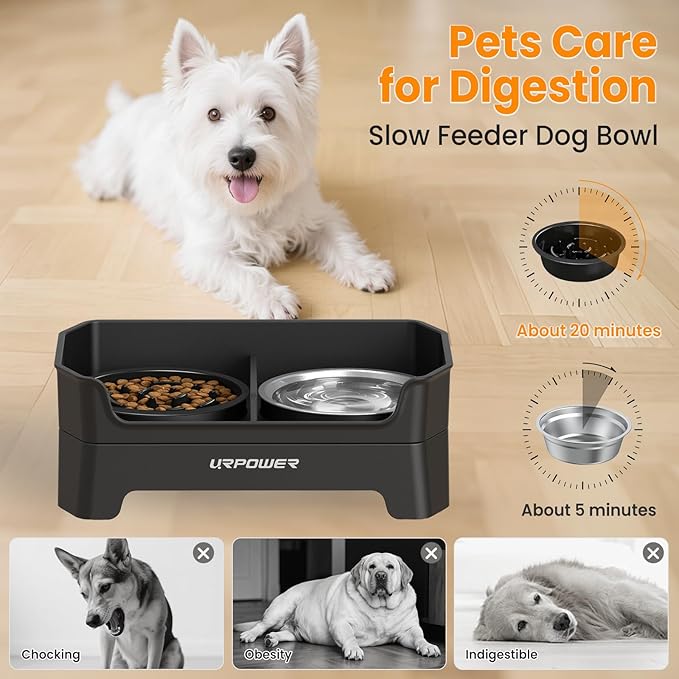 URPOWER Mess Proof Elevated Dog Bowls Double Deck Slow Feeder | No Spill Water Bowl, Slow Feeder Dog Bowls, Non-Slip Food and Water Bowl Set for Small, Medium & Large Dogs - Image 8