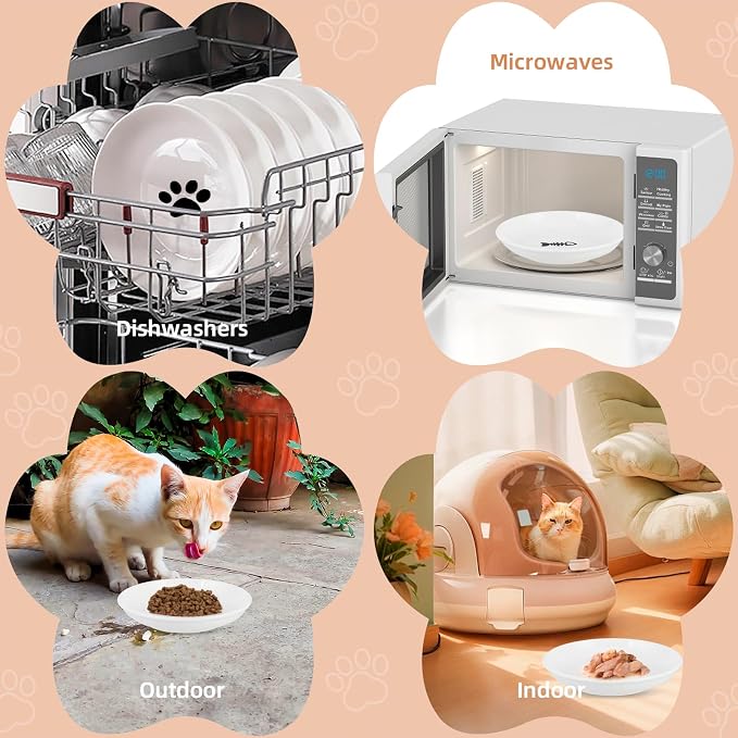 6 Pack Cat Food Bowl, Ceramic Cat Bowls, Anti Whisker Fatigue Cats Bowl Set | 5.5 Inches Shallow Wide Kitten Plates for Food and Water (White-E) - Image 7