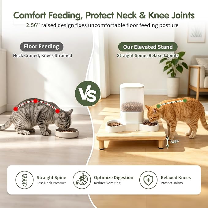 Extra Large Cat Food Stand, Wood Cat Feeder Stand 15.8 x 12.9 in | Cat Feeding Station, 2.56 in Raised Platform, Dual-Bowl Feeder & Water Dispenser Fit, Solid Wood, Tool-Free Assembly - Image 4