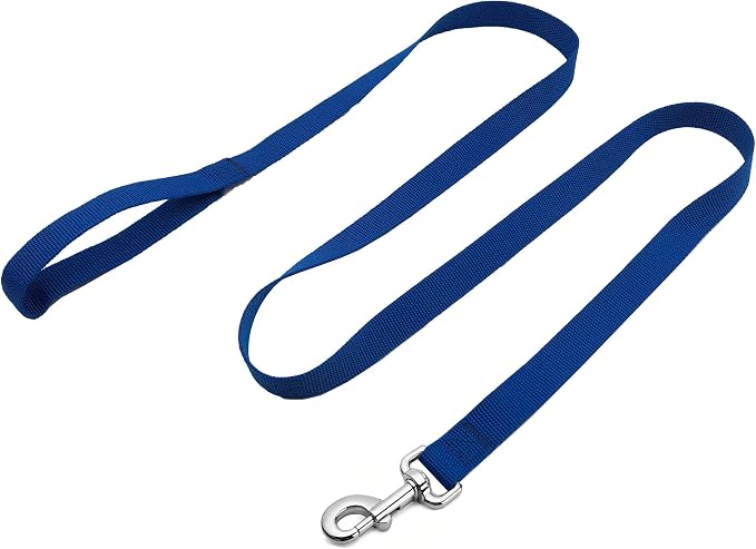 Strong Nylon Dog Leash, 4FT/ 5 FT/ 6FT Dog Leashes for Medium Large Dogs(4 FT, Blue) - Image 2