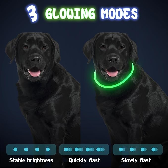 Frienda 4 Pcs LED Dog Collars, USB Rechargeable,Classic Style,Green, Blue | Dog Necklace Collars, Doggy Light Collar for Night Walking, Adjustable Safety Lamp Pet Collars for Large Medium Small Puppy - Image 3