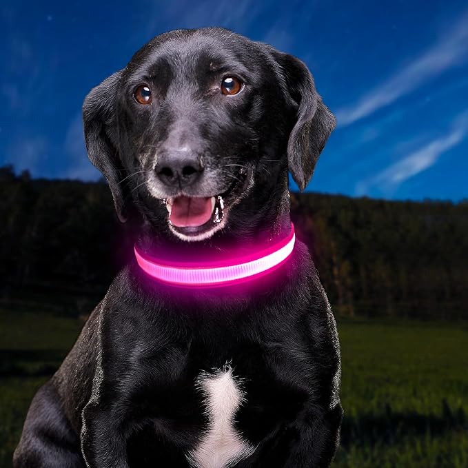 LED Light Up Dog Collar for Night Safety Walks, Pink, L | USB rechargeable, waterproof & pet-safe, 3 lighting modes, long-lasting glow, adjustable S/M/L, soft comfy daily walk fit - Image 8