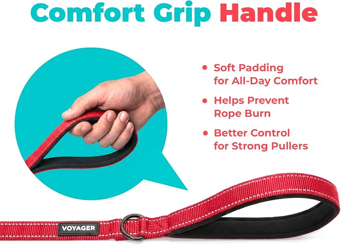 Best Pet Supplies Voyager Nylon Dog Leash - Red, Medium | 5ft in Length, 3/4" in Width, Reflective, Soft Neoprene Handle, Heavy Duty Metal Clips for Running, Walking & Training - Image 5