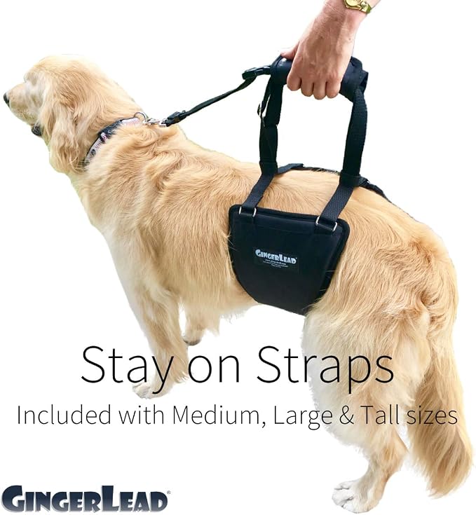 Dog Sling Hip Lift Support Harness, Tall Female, Made in USA | Fits Tall, Lean Dogs like Greyhounds or Great Danes, Padded Mobility Aid, Help Pets Walk or Balance, Machine Wash & Dry - Image 6