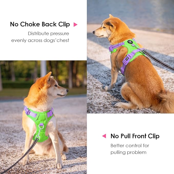 No Pull Dog Harness, Unique Colors Reflective Adjustable Dog Vest | with Soft Training Handle Metal Clips for Small Medium Large Dogs (Green Base & Purple Straps,S) - Image 4