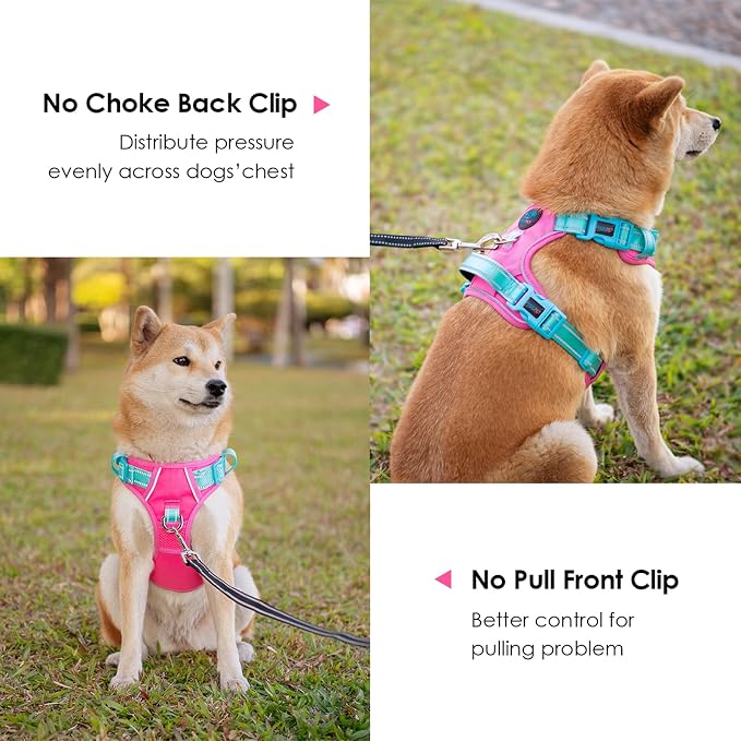No Pull Dog Harness, Unique Colors Reflective Adjustable Dog Vest, with Soft Training Handle Metal Clips for Small Medium Large Dogs (Pink Base & Green Straps,S) - Image 4