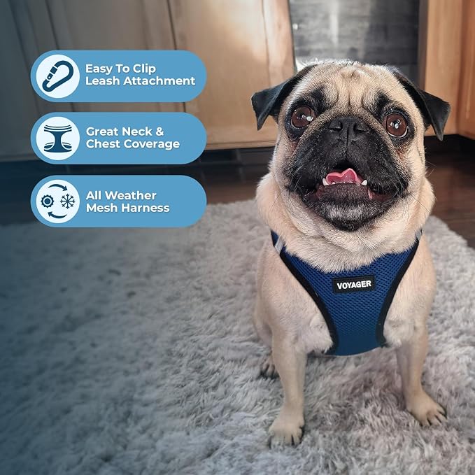 Best Pet Supplies Voyager Step-in Air All Weather Mesh Harness and Reflective Dog 5ft Leash Combo with Neoprene Handle, for Small, Medium and Large Breed Puppies - Blue/Black Trim, X-Large - Image 5