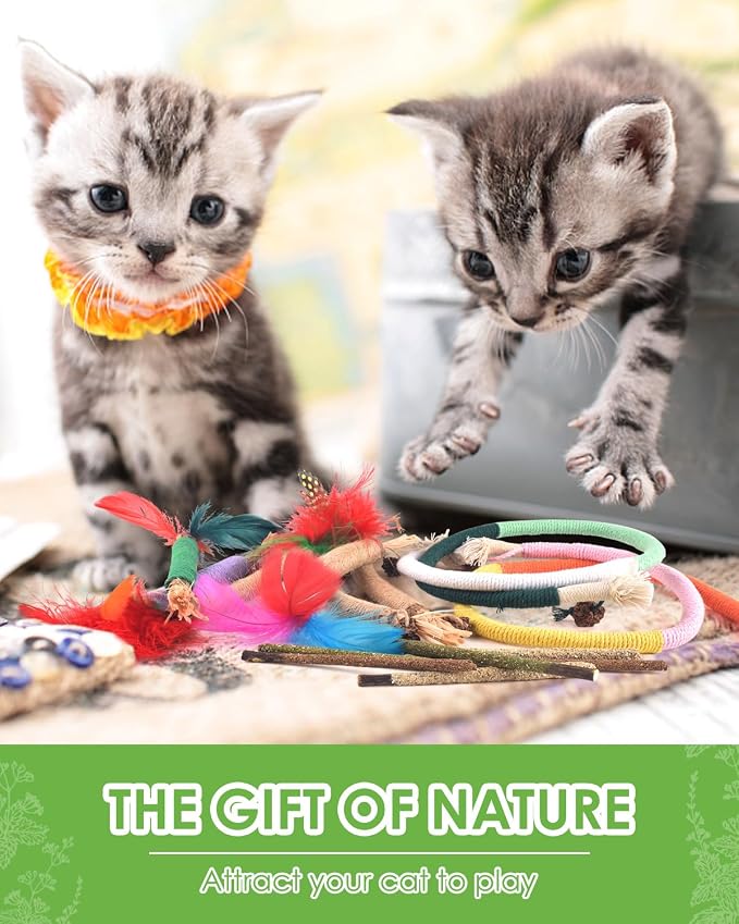 TINDTOP Cat Chew Toys, Silvervine Chew Sticks with 2 Pack Chew Ropes | for Kittens Teeth Cleaning, Increase Appetite, Aggressive Chewers Cat Dental Toy - Image 6