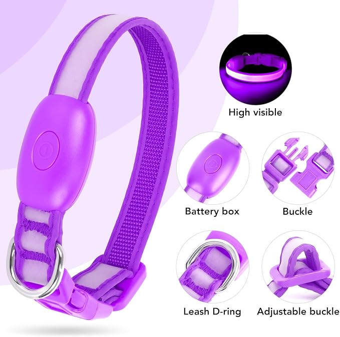 Light up Collar for Small Dog,Vizpet XS Led Adjustable Small Size Collar | USB Rechargeable Bright Safety Pet Nylon Collar for Cats Small Dogs (Purple) - Image 2