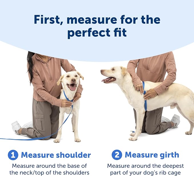 PetSafe Easy Walk Comfort No Pull Dog Harness, Pink, Extra Small | Stops Pulling on First Use with Front Martingale Loop, Full-Body Padding, 5-Point Adjustable Fit - Image 6