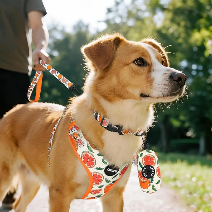 Small Dog Harness and Leash Set of 6, No Pull Soft Lightweight Mesh Puppy Harness， Adjustable Cute Floral Pattern Pet Harness for Small Medium Dogs (Orange, M) - Image 8