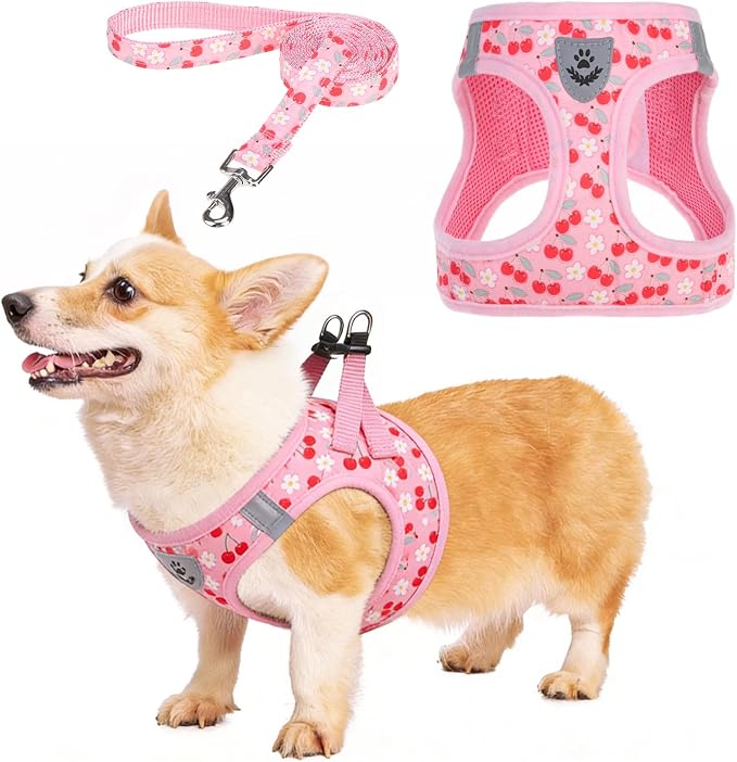 KOOLTAIL Dog Harness for Small Medium Dogs,Dog Harness and Leash Set, Step in No Pull Soft Mesh Padded Adjustable and Reflective Pet Vest Harness Puppy, Plaid Extra Harness for XS S Dogs,Pink Cherry,M by KOOLTAIL