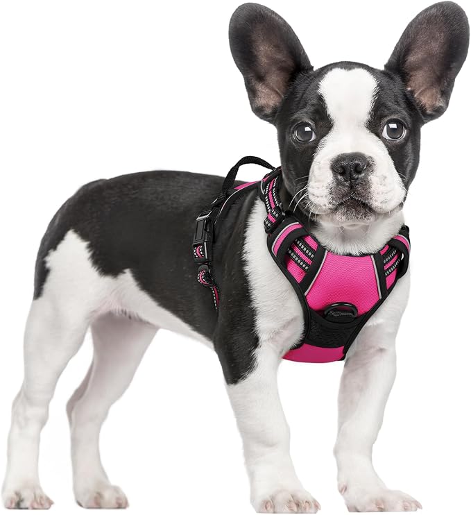 rabbitgoo Dog Harness, No Pull for Small Dogs with 2 Leash Clips, Pet Vest | No Choke with Handle, Adjustable Soft Padded, Reflective, Easy Control for Walking, Hot Pink, Small by rabbitgoo