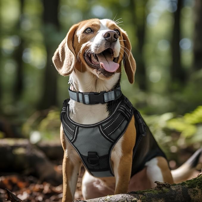 Joytale Reflective Dog Collar, Adjustable Neoprene Padded, Gray XL | Breathable Nylon for Large Breeds, No Chafing on Hikes and Outdoor Use, Tear-Resistant Webbing, Metal D-Ring, Night Safety - Image 2