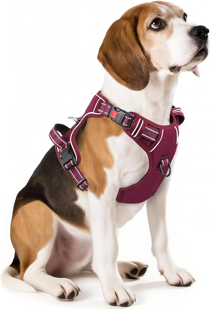 Timos Dog Harness, Front Clip No Pull Medium Sized with Handle, Burgundy, M | No Choke, Adjustable Reflective Soft Padded, Quick Release 3 Buckles, Easy On & Off, Front & Back 2 Clips for Outdoor Walking by Timos