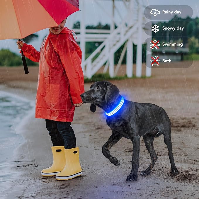 Light Up Dog Collars Rechargeable, Reflective LED Glow Dark Dog Collar for Small Medium Large Dogs, Adjustable Pet Dog Lights for Safe Night Walk-Blue, Large - Image 5