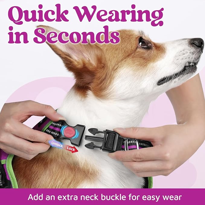 rabbitgoo Dog Harness Medium Sized, No Pull 3 Buckles Easy On & Off | Soft Padded, Walking with Control Handle, Adjustable and Reflective, Purple & Light Green, Medium - Image 2