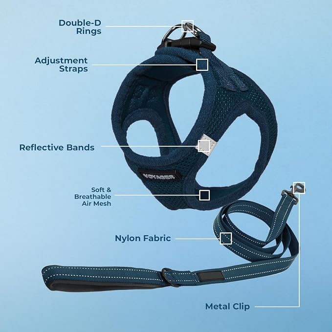 Best Pet Supplies Voyager Step-in Air All Weather Mesh Harness and Reflective Dog 5ft Leash Combo with Neoprene Handle, for Small, Medium and Large Breed Puppies - Blue, X-Small - Image 3