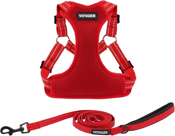 Best Pet Supplies Voyager Adjustable Step-in Flex Breathable Mesh Dog Harness for Small Medium Large Dogs Leash Set (Red), XL by BestPetSuppliesLLC