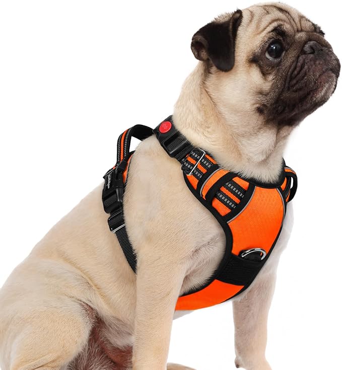 rabbitgoo Dog Harness Small Sized, No Pull 3 Buckles Easy On & Off | Soft Padded, Walking with Control Handle, Adjustable and Reflective, Orange, Small by rabbitgoo
