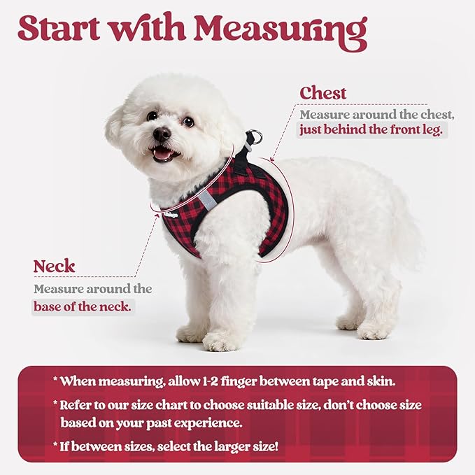 rabbitgoo Dog Harness Small Sized and Leash Set, Step-in Puppy Pet Vest | Light, Soft, Breathable Air Mesh, Easy on and Remove with Hook & Loop, Secure Reflective for Walking, Red Check XS - Image 2