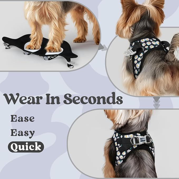 rabbitgoo Step-in Small Dog Harness, Puppy Vest for Small Sized Pet | Easy Put on and off, Lightweight, Soft, Breathable Quick-Dry Air Mesh for Comfortable Secure Walking, Midnight Daisy XXS - Image 5