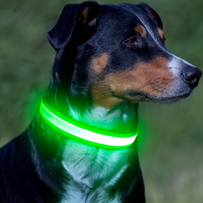 Vizpet LED Dog Collar, Light Up Dog Collar Adjustable USB Rechargeable Super Bright Safety Light Glowing Collars for Dogs(X-Large,Green) - Image 7