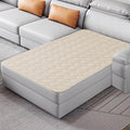 ZNSAYOTX Ultimate Cozy Blankets (40"x50") 100% Waterproof Chaise Mat Blanket for Dog Pets, Bed Couch Sofa Protector with Non-Slip Back Washable Durable, Pee Scratch Proof Easy to Clean (Beige) by ZNSAYOTX