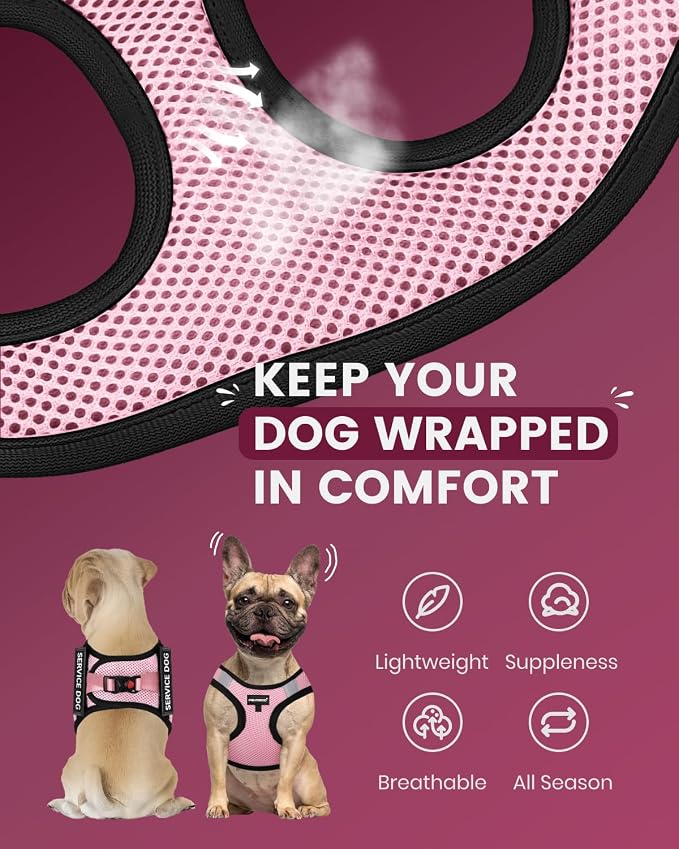 FAYOGOO Service Dog Vest Set for Small Dogs, Mesh Harness and Leash | Lightweight step-in vest with leash and removable identification patches; measure neck and chest before choosing a size - Image 2