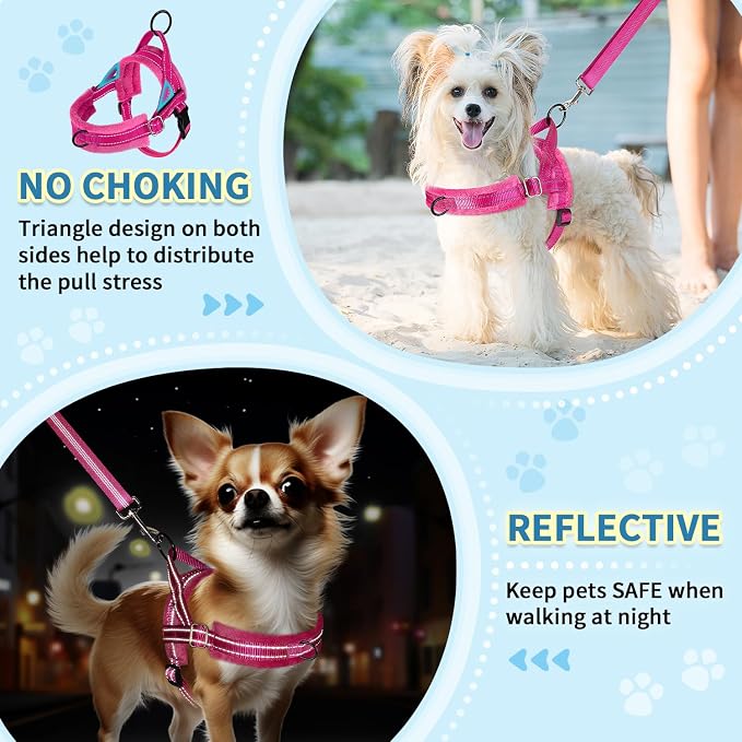 SlowTon No Pull Small Dog Harness and Leash Set with Front Clip | Soft Padded, Neck & Chest Adjustable, Lightweight, Anti-Twist, Puppy Vest Harness Pet Lead Combo for Small Medium Dog, FU XS - Image 3