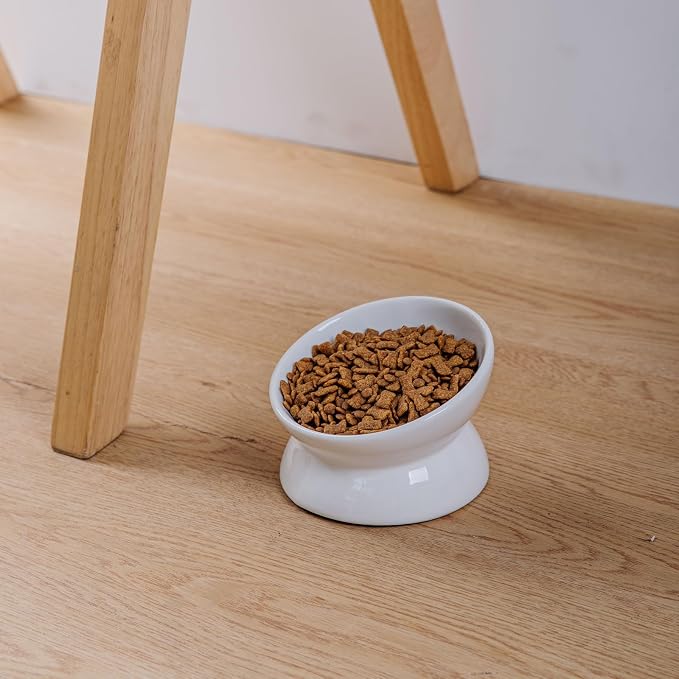 Elevated Ceramic Cat Bowl, 15° Tilted Raised Food & Water Dishes, Anti-Vomiting & Neck Protection Pet Feeder for Kittens, Small Dogs (5.2", White, 1pc Set) - Image 4