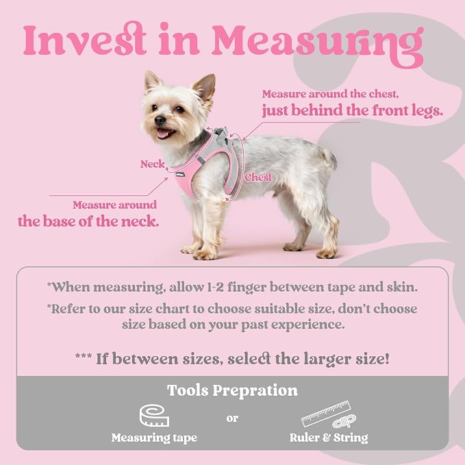 rabbitgoo Step-in Small Dog Harness, Puppy Vest for Small Medium Sized Pet | Easy Put on and off, Lightweight, Soft, Breathable Quick-Dry Air Mesh for Comfortable Secure Walking, Light Pink & Gray L - Image 2