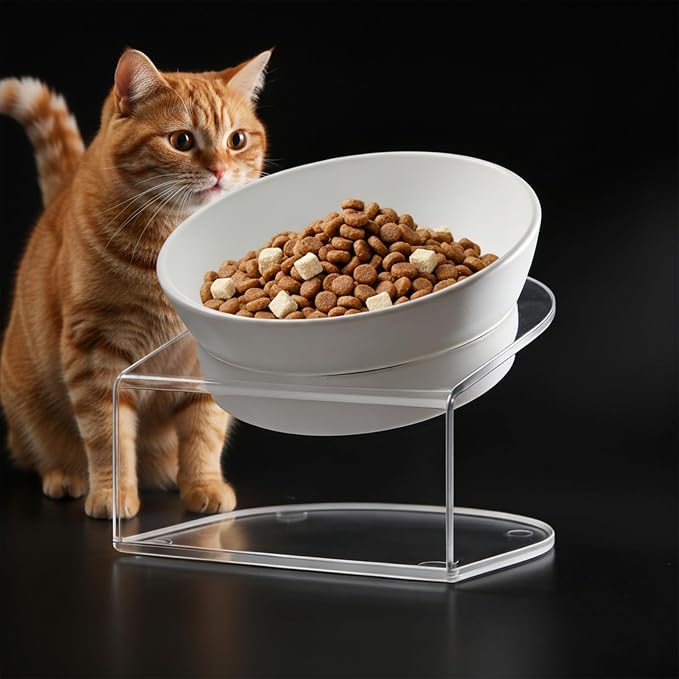 LivLab Mker Raised Cat Bowl, 15° Tilted, 4.5 in High, White | 15° tilted shallow melamine bowl on a 4.5 in raised stand supports comfortable feeding and reduces whisker contact. by LivLabMker
