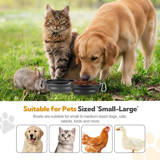 Collapsible Dog Bowl Large 34oz, Travel Dog Water Bowl Portable | 2 Pack, 2 Carabiner Clips, Silicone Travel Dog Bowl Foldable, Feeding Watering Dish Bowl, for Parking, Walking, Camping - Image 2