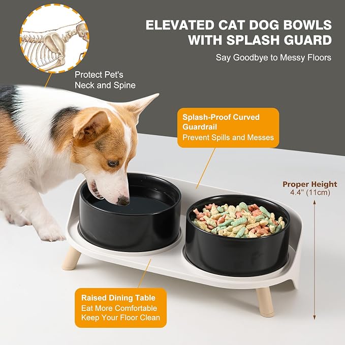 Elevated Ceramic Dog Bowl Set - Double Dog Feeding Bowls with Stand Splash Proof - Raised Dishes for Food and Water - Ideal for Small to Medium Dogs - 2 x 720 ml - 11.3 oz - Black - Image 6
