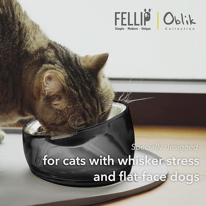 Felli Oblik Elevated Cat Bowl Removable Stainless Steel Wide Dish for Dry Wet Food Feeding & Dishwasher Clean, Slanted Whisker Fatigue Friendly Metal Plate (Smoky, 0.5 Cups Shallow Dish) - Image 2