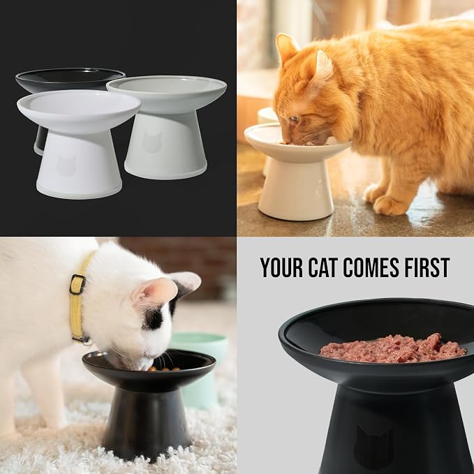 Necoichi BPA-Free Extra-Wide Elevated Cat Food Bowls, 2-Pack (Classic) - Image 9