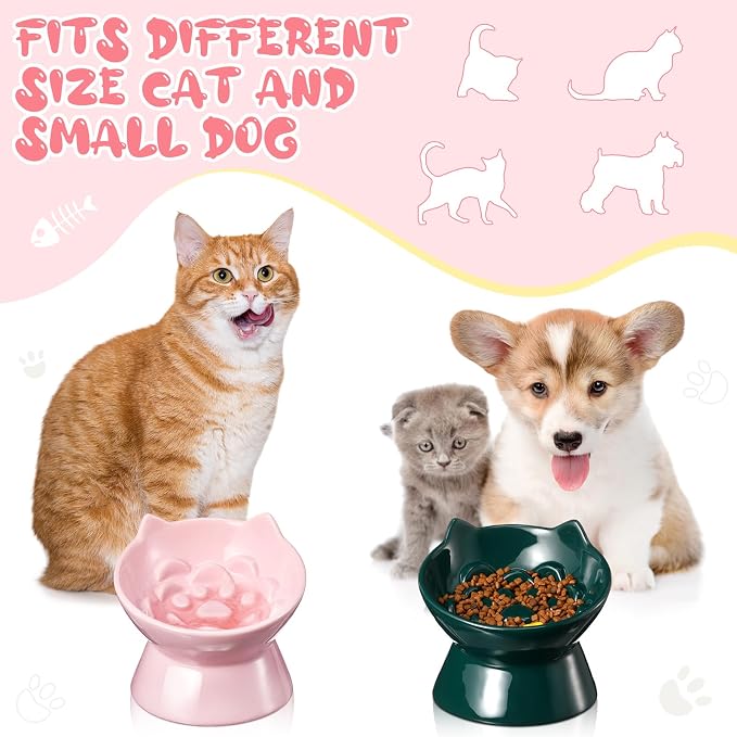 Funnymoom 2 Pcs Ceramic Raised Slow Feeder Cat Bowl, 5.91inch Elevated Cat Slow Feeder Bowl Tilted Anti Vomiting for Dry Wet Food and Water Easy to Clean High Edge(Dark Green, Pink) - Image 5