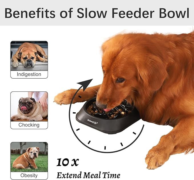 MateeyLife 2-Pack Slow Feeder Dog Bowls, 2 Cups, Dog Puzzle Feeder Bowl | Food-contact safe, dishwasher safe, non-slip base, maze design, for fast eaters, for dogs and cats, daily mealtimes - Image 2