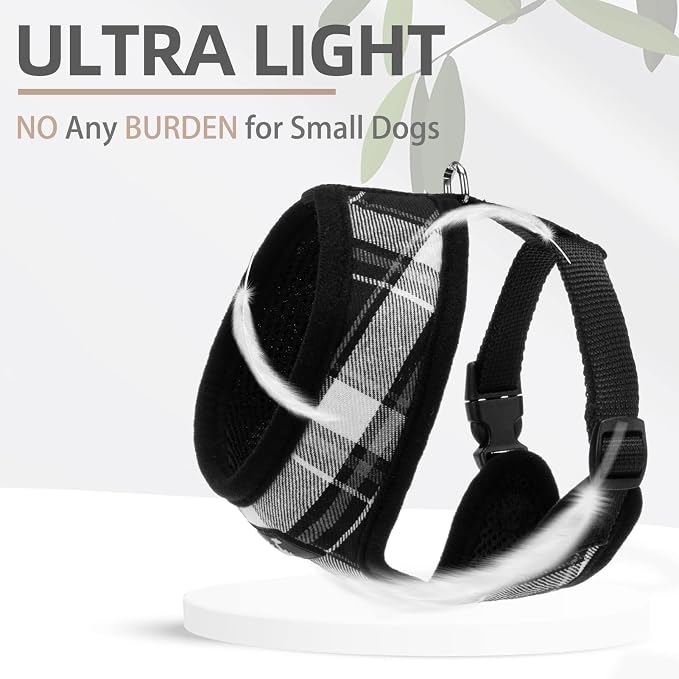 PUPTECK Small Dog Harness and Leash Set No Pull for XS XXS Sized Dogs Puppy | Escape Proof No Choke Pet Cat Adjustable Soft Padded Walking Vest - Image 5