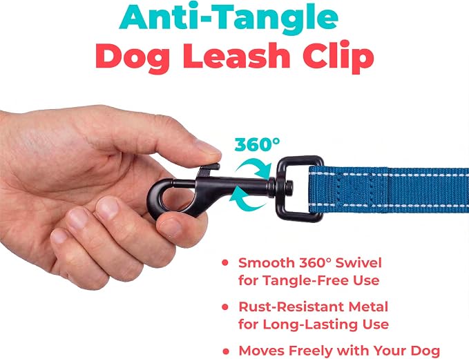 Best Pet Supplies Voyager Nylon Dog Leash - Royal Blue, Medium | 5ft in Length, 3/4" in Width, Reflective, Soft Neoprene Handle, Heavy Duty Metal Clips for Running, Walking & Training - Image 7