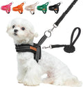 BEAUTYZOO Small Dog Harness and Leash Set, No Pull Step in Puppy Vest | Breathable Mesh with Handle, Reflective, Adjustable No Choke Escape Proof, Lightweight, Easy Control for Walking, Black XS by BEAUTYZOO
