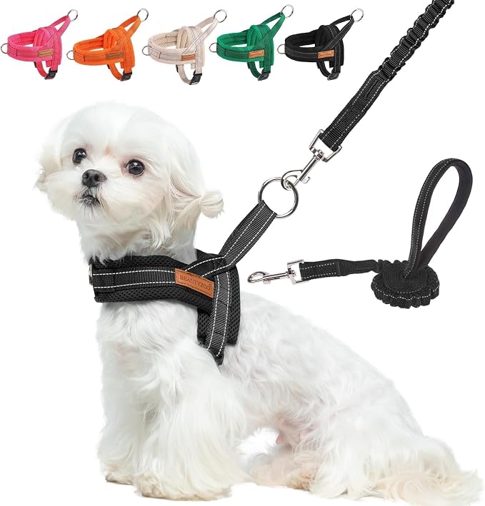 BEAUTYZOO Small Dog Harness and Leash Set, No Pull Step in Puppy Vest | Breathable Mesh with Handle, Reflective, Adjustable No Choke Escape Proof, Lightweight, Easy Control for Walking, Black XS by BEAUTYZOO