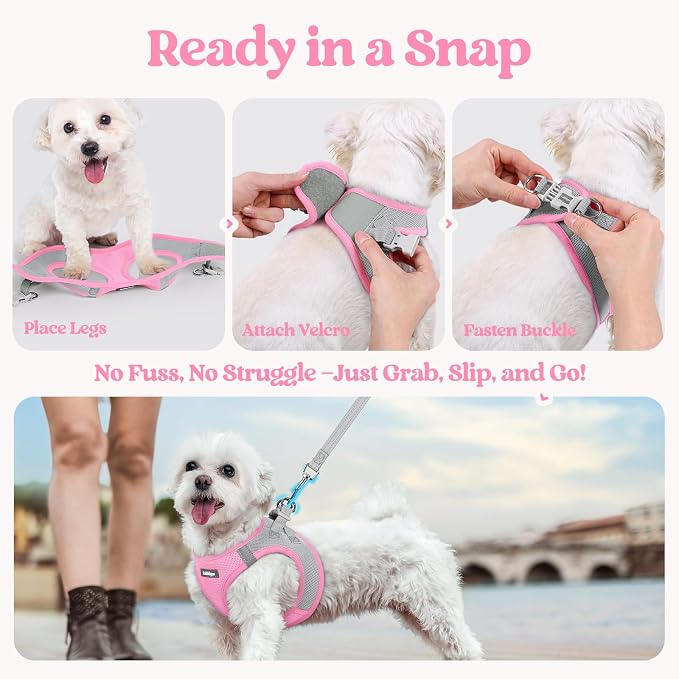 rabbitgoo Dog Harness Small Sized and Leash Set, Step-in Puppy Pet Vest | Light, Soft, Breathable Air Mesh, Easy on and Remove with Hook & Loop, Secure Reflective for Walking, Light Pink & Gray M - Image 8