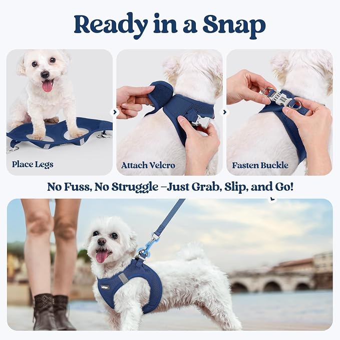 rabbitgoo Dog Harness Small Sized and Leash Set, Step-in Puppy Pet Vest | Light, Soft, Breathable Air Mesh, Easy on and Remove with Hook & Loop, Secure Reflective for Walking, Navy Blue XS - Image 8