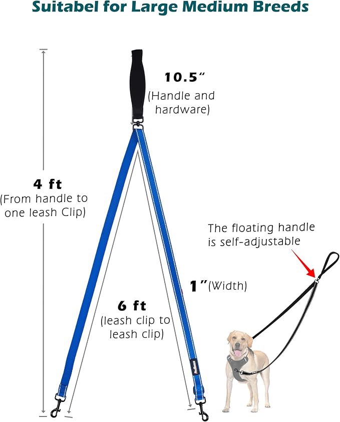PetBonus Two Point Control Dog Leash, No Tangle Training Walking Leashes | Soft Padded Handle, Reflective, Works with No Pull Harnesses, Converts to Single Lead for Medium Large Dogs, Blue - Image 4