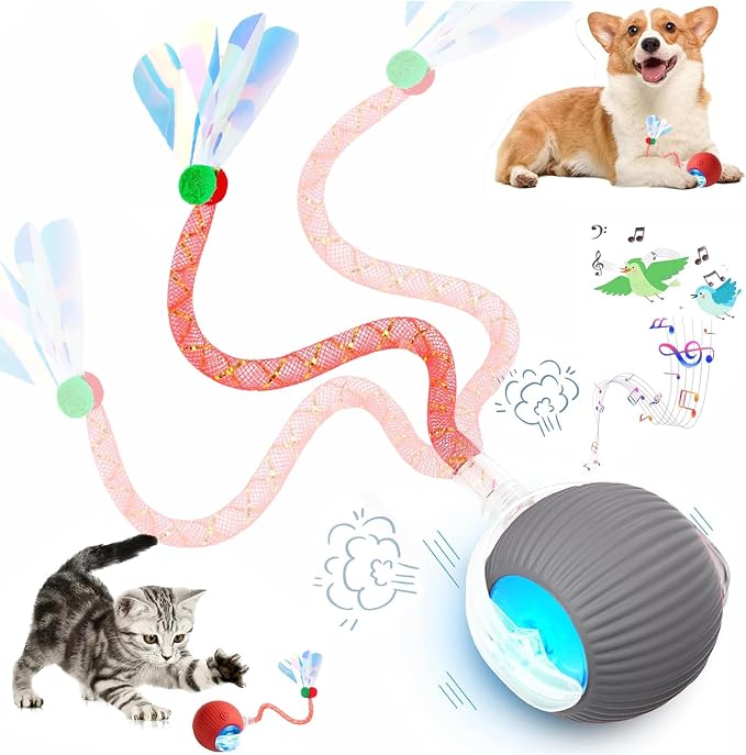 Speed 2.0 Tail Interactive Cat Toys for Indoor Cats, Moving Cat Toy | Chirping & Motion Activate Cat Toy, Smart Kitten Toys Rolling Ball Moving Ball, Electric Dog Cat Ball for Enrichment Exercise by Unknown